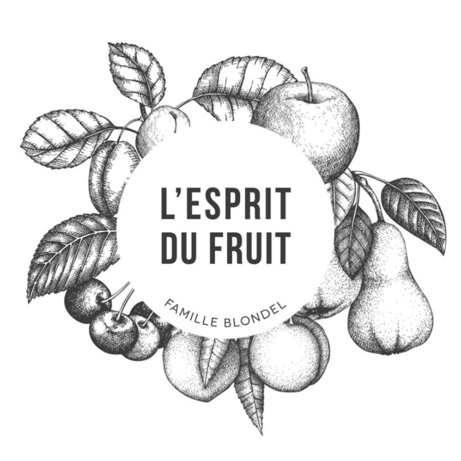 logo l'esprit du fruits